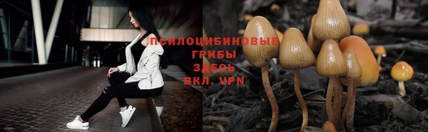 каннабис Арсеньев
